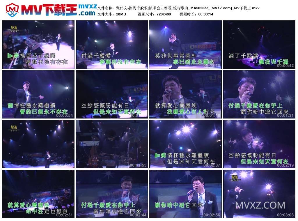 张伟文-换到千般恨(演唱会)_粤语_流行歌曲_MA502533